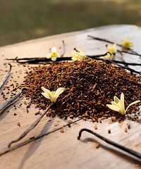 Tabac Vanille Parfümöl - F&uuml;r weitere Informationen anklicken